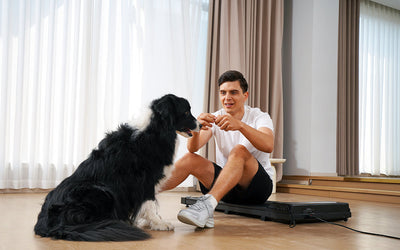 Back-to-Routine Guide: Integrating Daily Walking into Work & Study